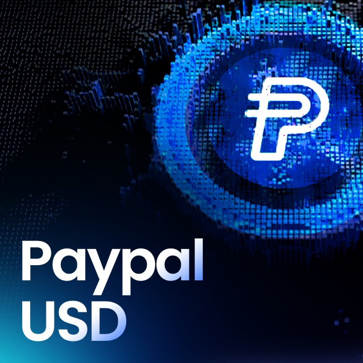 Read more about the article Beware of FAKE PYUSD Stablecoins